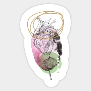 Anatomical heart, engraving drawing. Sticker